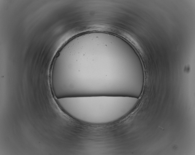 X0000090981283200708021134