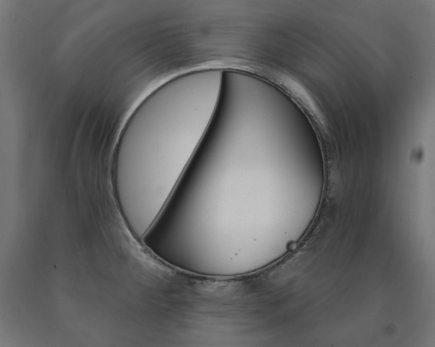 X0000090981284200708021134