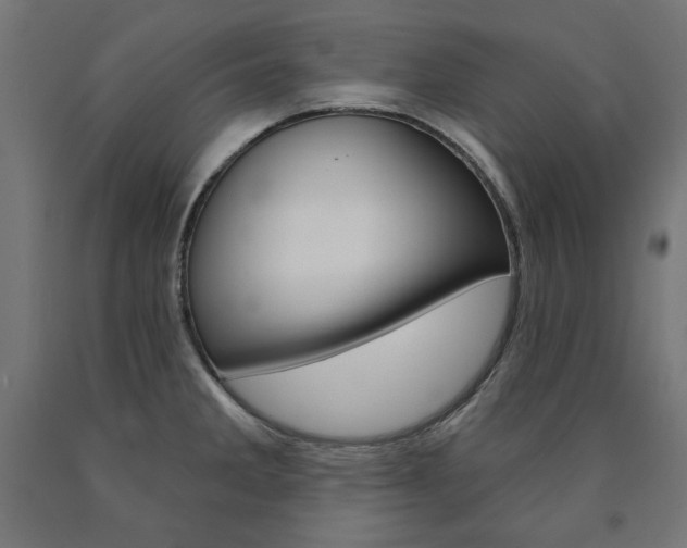 X0000090981285200708021134