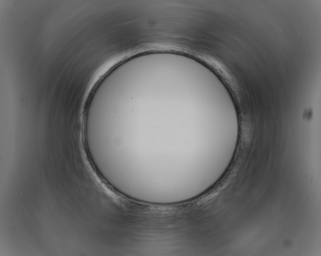 X0000090981286200708021134