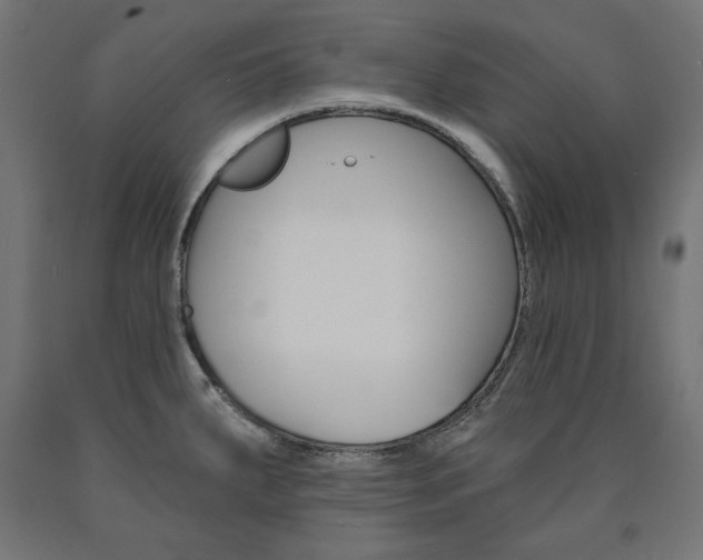 X0000090981287200708021134