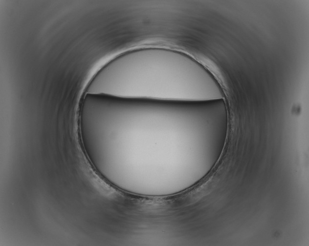 X0000090981288200708021134