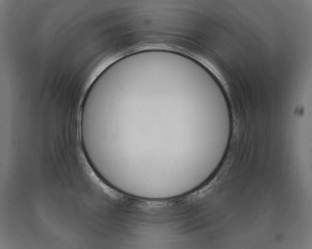 X0000090981290200708021134