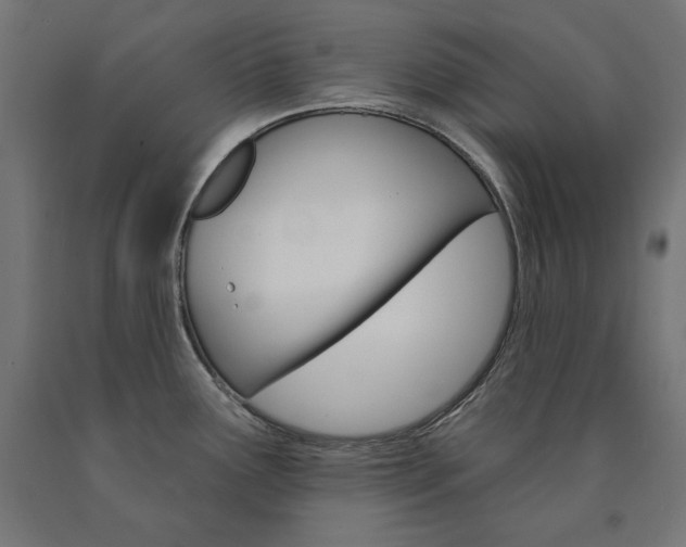 X0000090981291200708021134