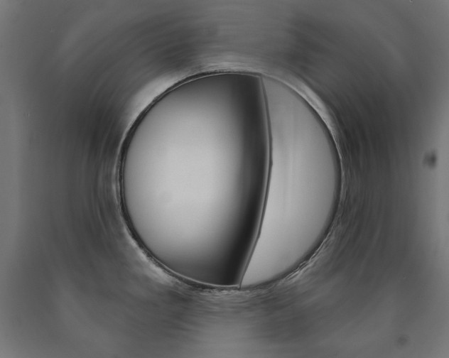X0000090981293200708021133