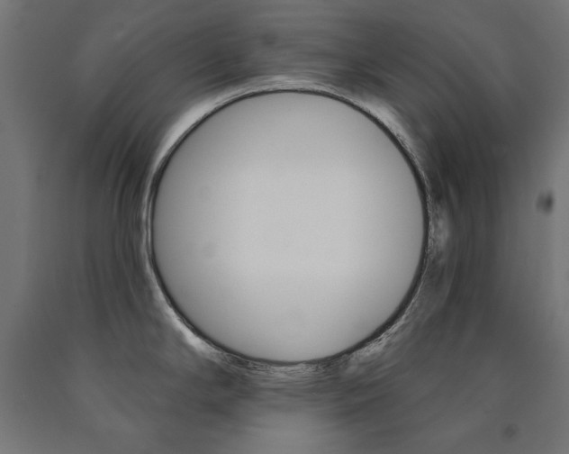 X0000090981294200708021133