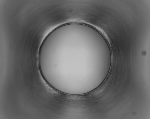 X0000090981295200708021133