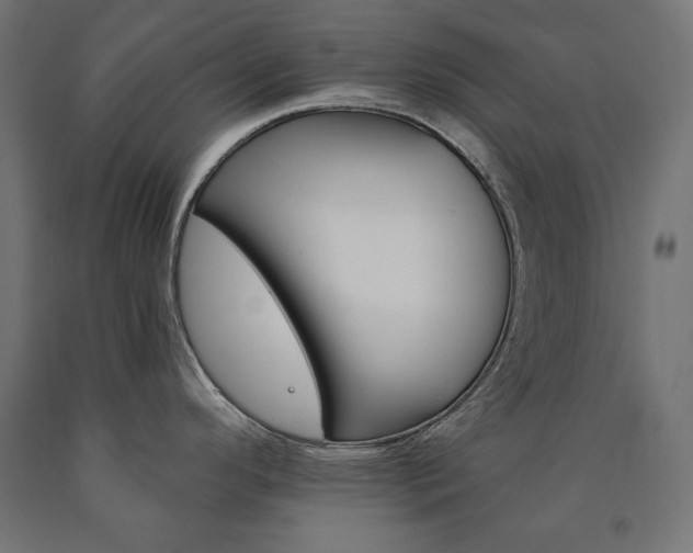 X0000090981296200708021133