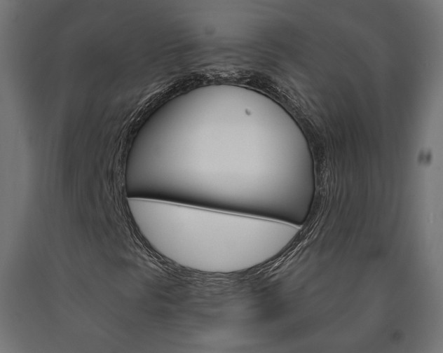 X0000090981297200708021133
