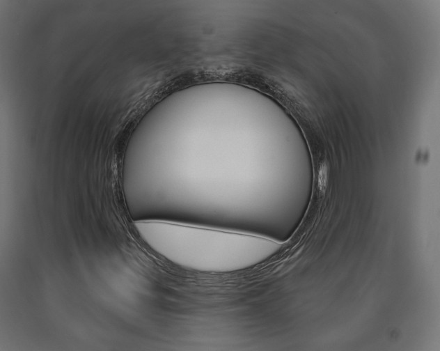 X0000090981299200708021133