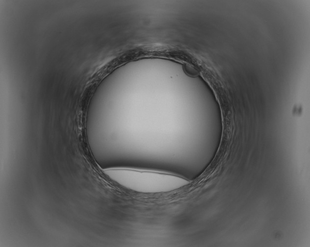 X0000090981301200708021133