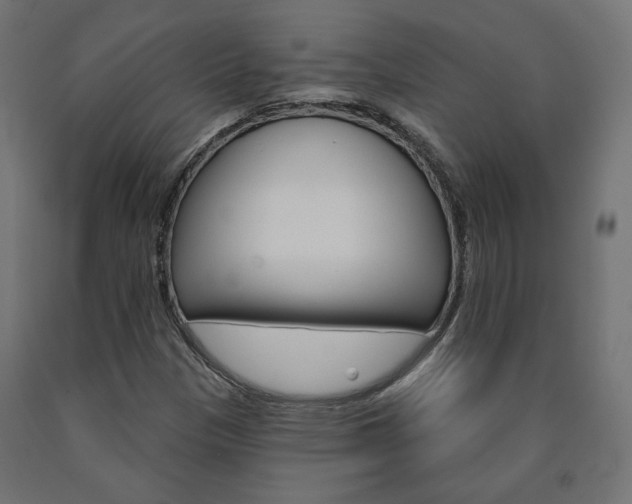 X0000090981305200708021133