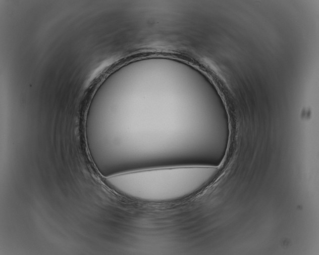 X0000090981307200708021133