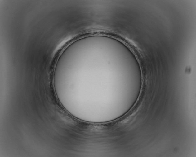 X0000090981309200708021133