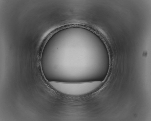 X0000090981310200708021133