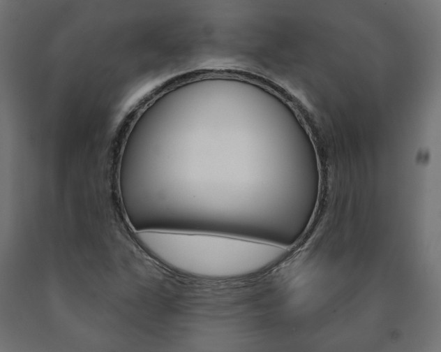 X0000090981311200708021133