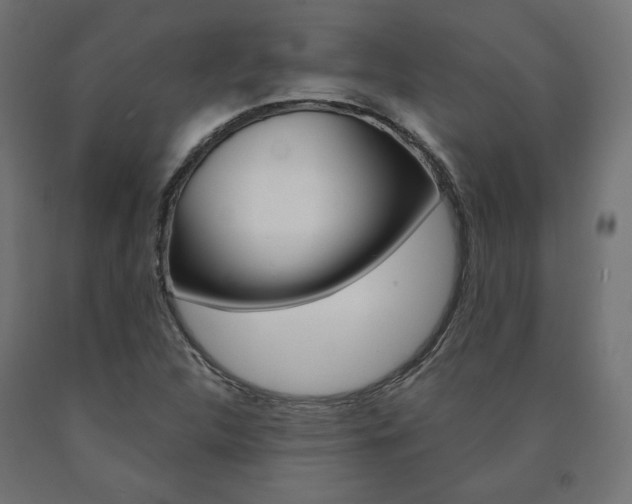X0000090981312200708021133