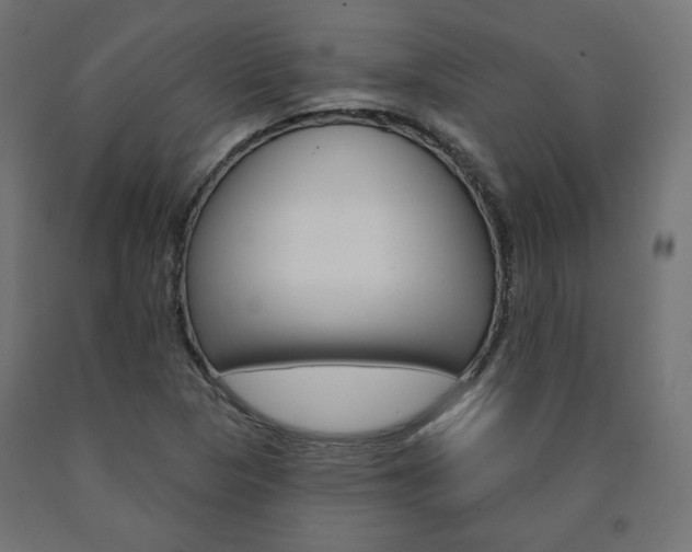 X0000090981313200708021133