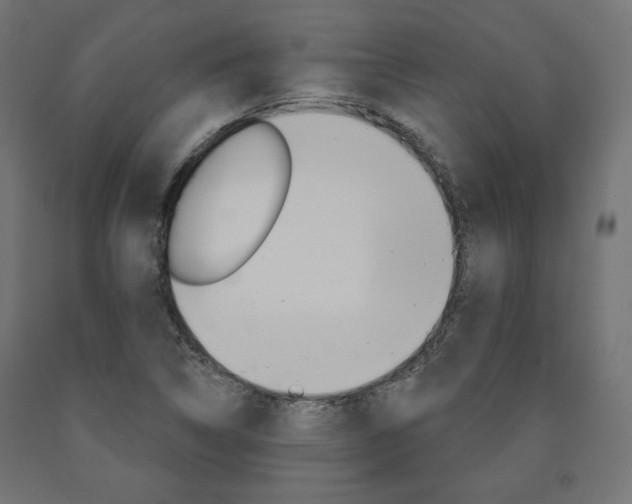 X0000090981314200708021133