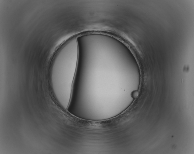 X0000090981315200708021133