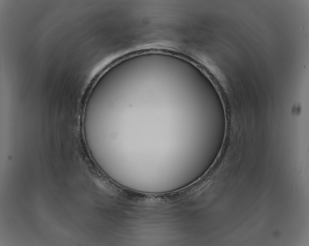 X0000090981316200708021133