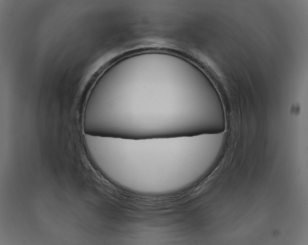 X0000090981318200708021133