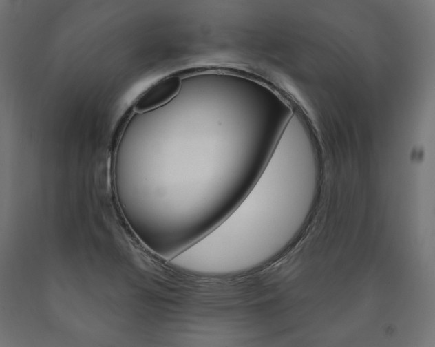 X0000090981320200708021133