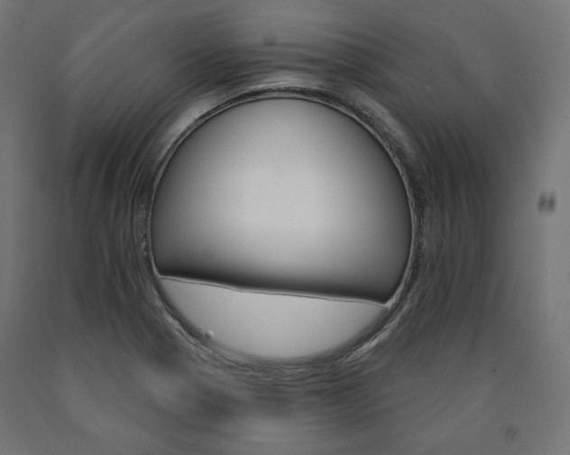 X0000090981321200708021133