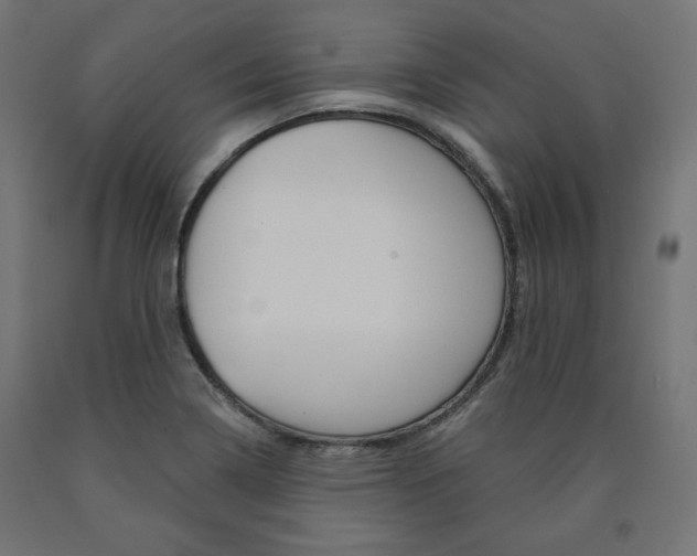 X0000090981322200708021133