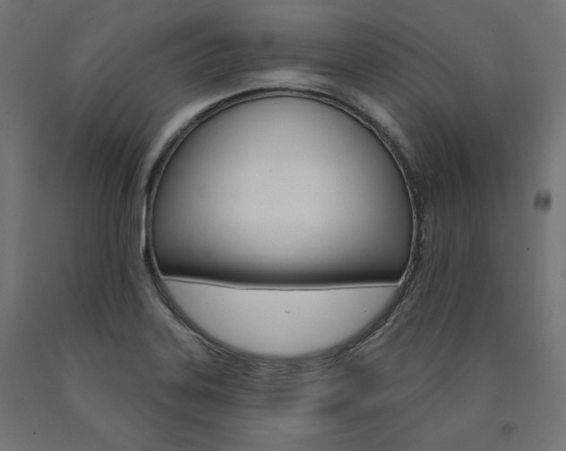 X0000090981323200708021133