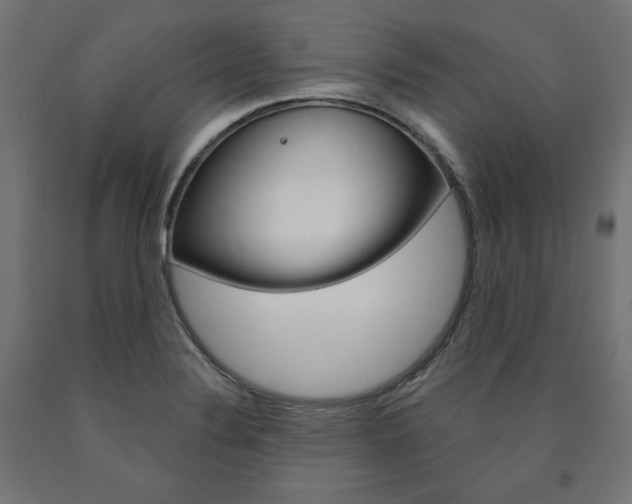 X0000090981324200708021133