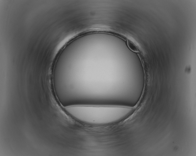 X0000090981325200708021133