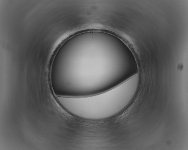 X0000090981326200708021133