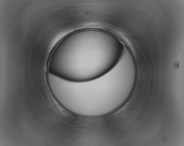 X0000090981328200708021133