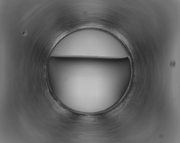 X0000090981329200708021133