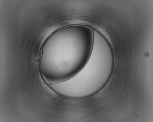X0000090981330200708021133