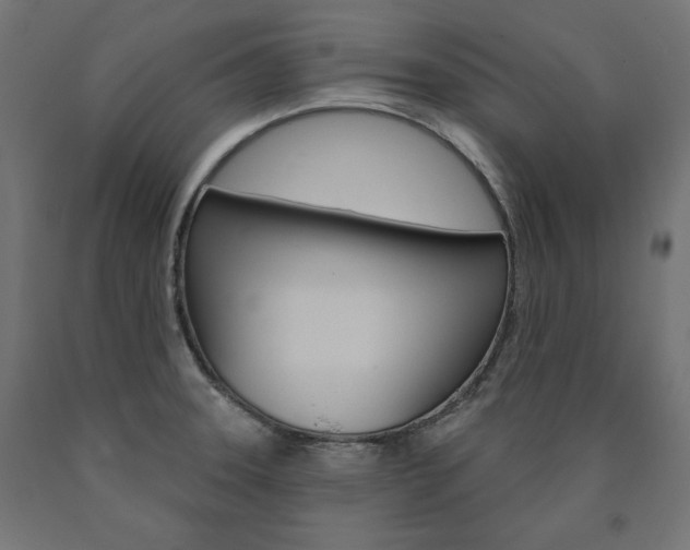 X0000090981331200708021133