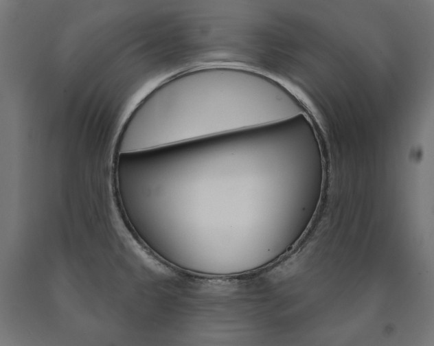 X0000090981333200708021133
