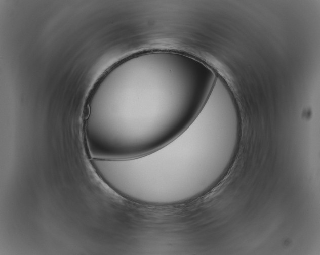 X0000090981334200708021133