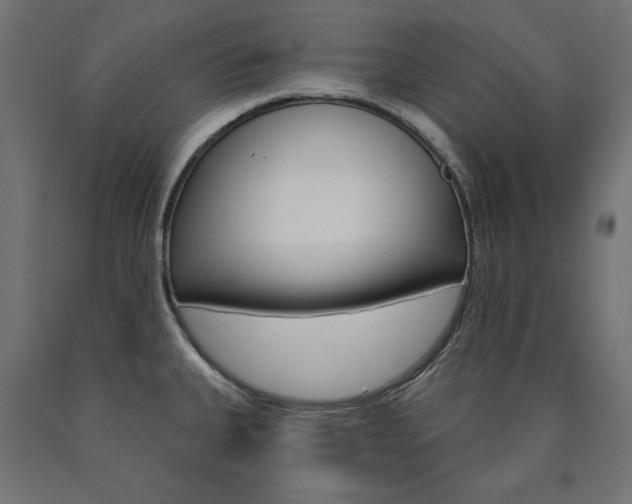 X0000090981335200708021133