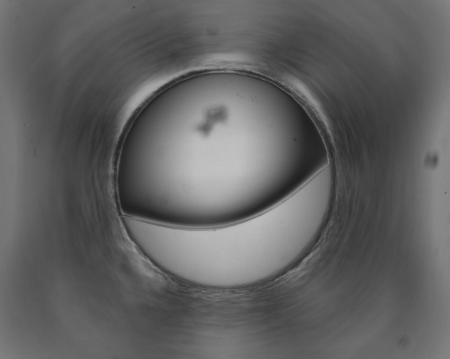 X0000090981336200708021133
