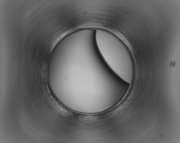 X0000090981337200708021133