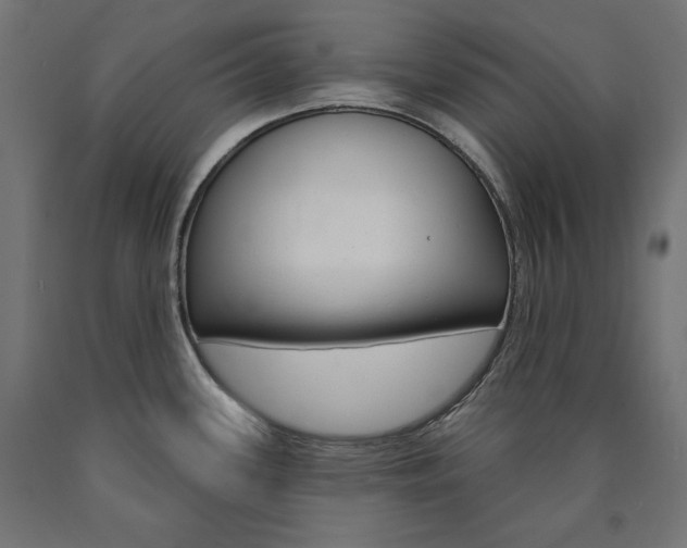 X0000090981339200708021133