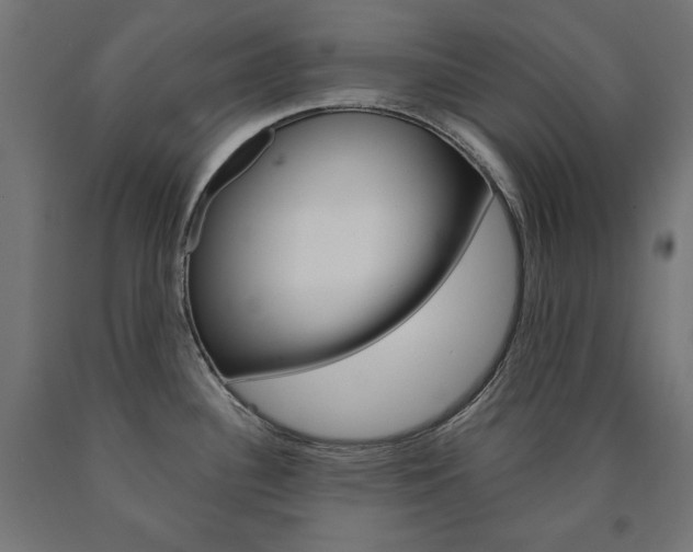 X0000090981340200708021133