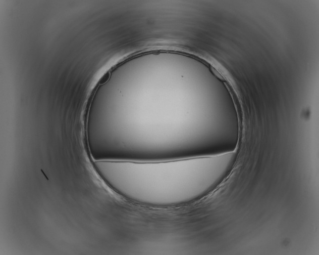 X0000090981341200708021133