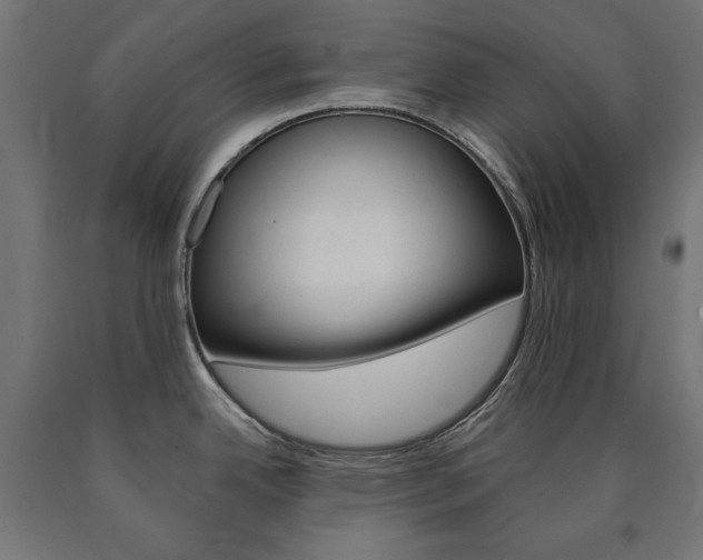 X0000090981342200708021133