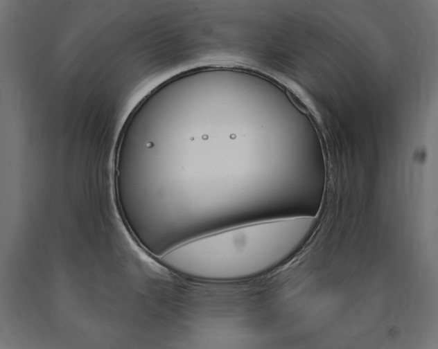 X0000090981343200708021133