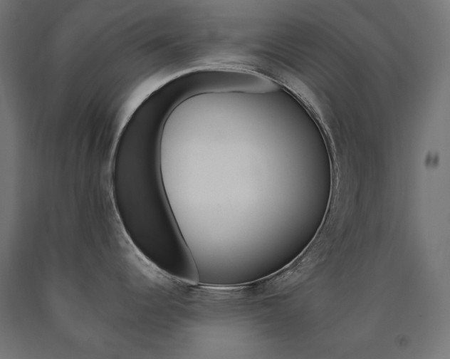 X0000090981344200708021133
