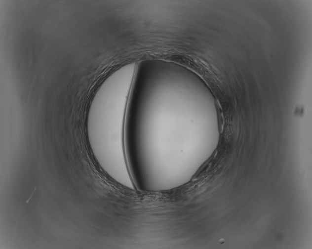 X0000090981345200708021133