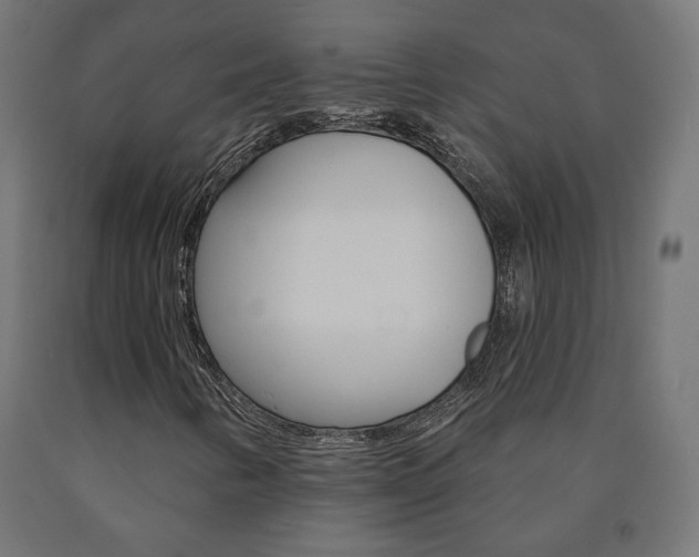 X0000090981346200708021133